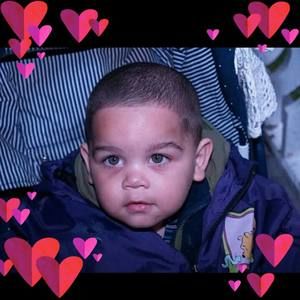 Meet your Posher, Lincoln